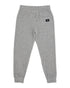 Feather 4 Arrow Boys Hudson Hacci Jogger HEATHER GRAY