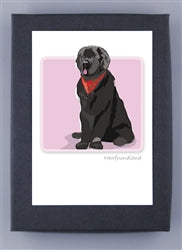 Paper Russells Dog Notecards NEWFOUNDLAND