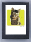 Paper Russells Cat Notecards TABBY CAT