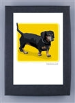 Paper Russells Dog Notecards DACHSHUND 836