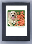 Paper Russells Dog Notecards GOLDEN RETRIEVER 937