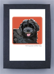 Paper Russells Dog Notecards PORTUGUESE WATER DOG