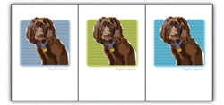 Paper Russells Dog Notecards BOYKIN SPANIEL