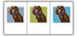 Paper Russells Dog Notecards BOYKIN SPANIEL