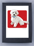 Paper Russells Dog Notecards MALTIPOO