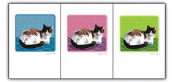 Paper Russells Dog Notecards CALICO CAT