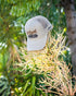 Hemlock Hat Co Last Resort Foam Trucker BONE