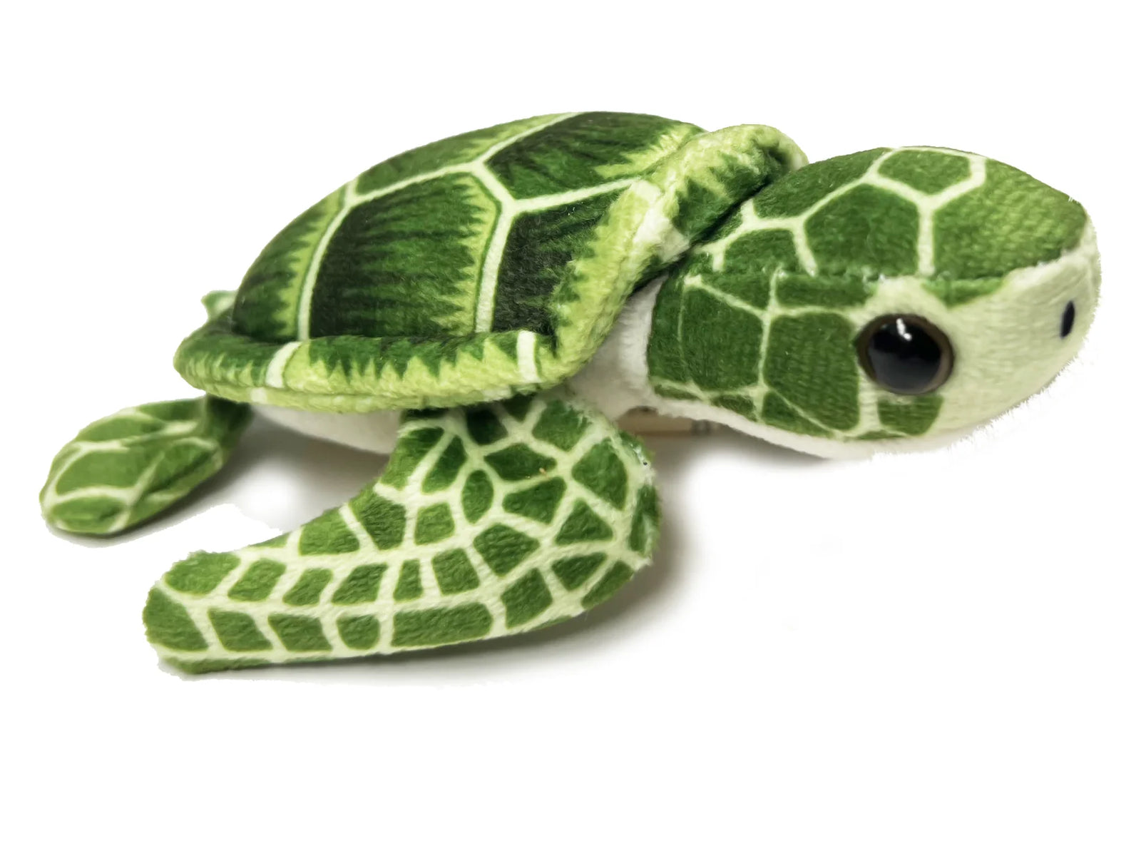Call Of the Wild Sea Turtle Hatchling Egg