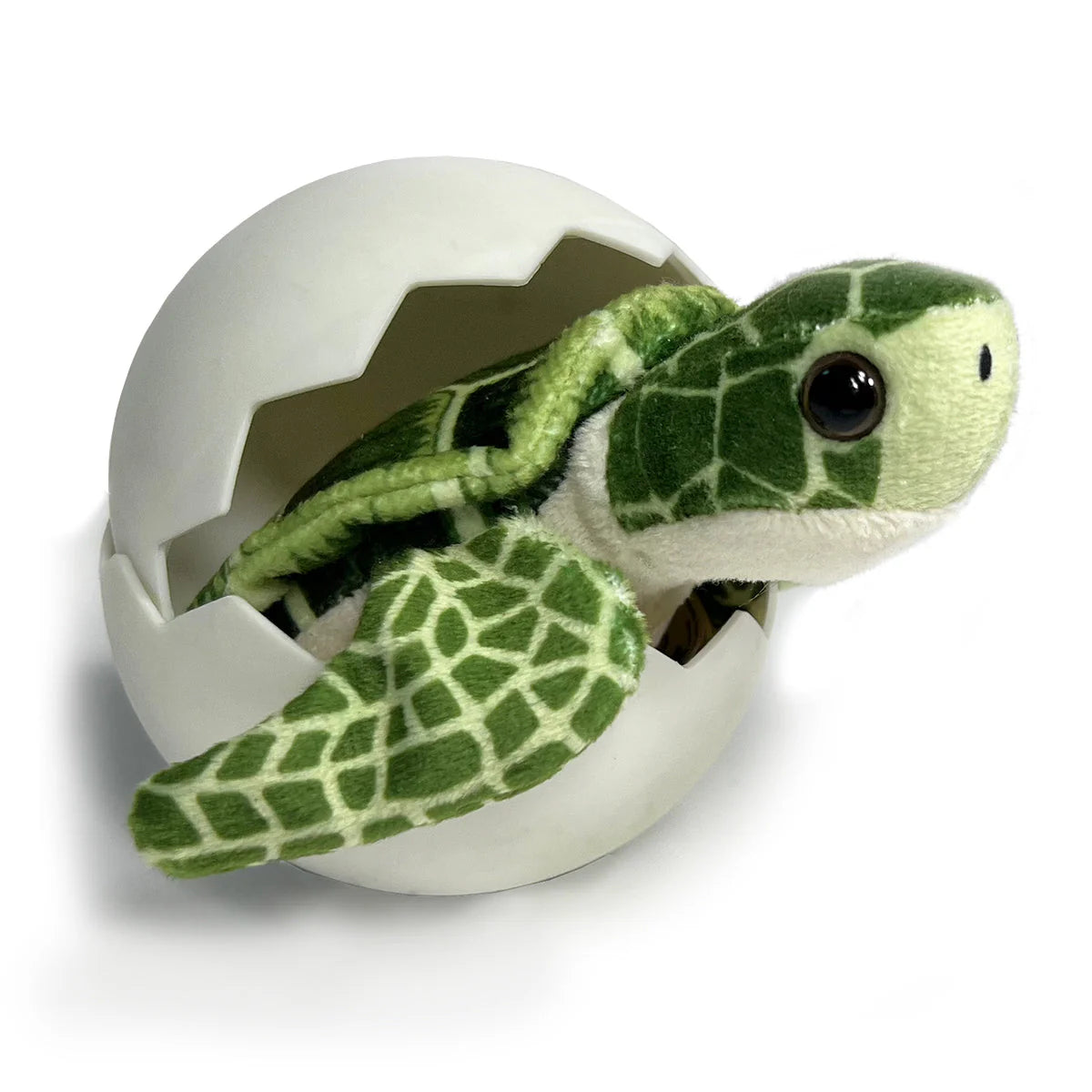 Call Of the Wild Sea Turtle Hatchling Egg
