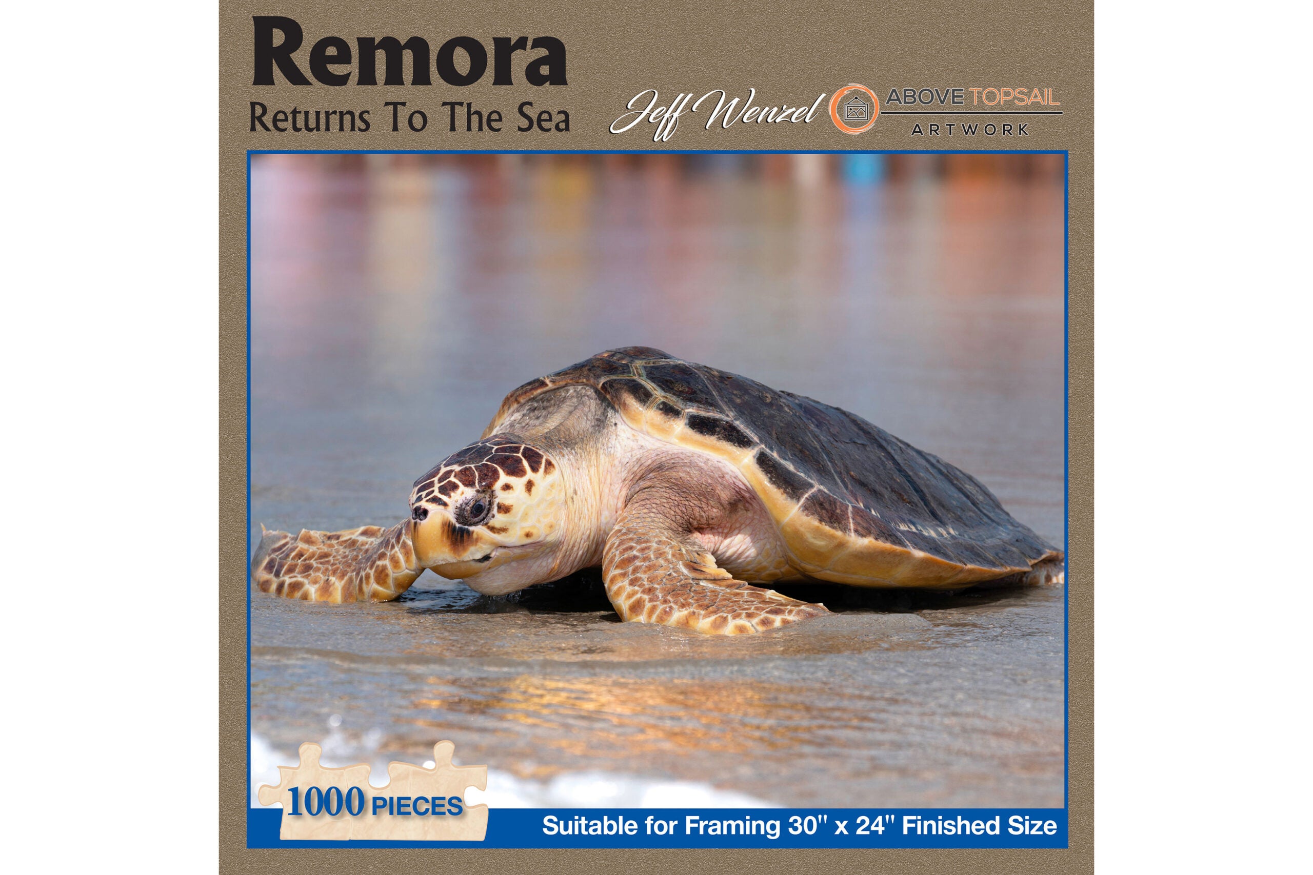 Above Topsail Remora Turtle Puzzle