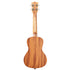 Kala Guidance Concert Ukulele w/Bag