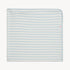 Magnetic Me Organic Cotton Baby Blanket BLUE STRIPE