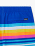 Chubbies M 5.5" Swim Trunks The Newport