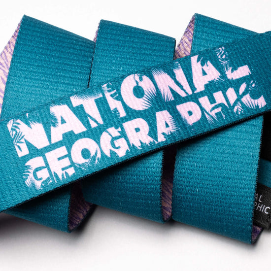 Arcade Belts National Geographic RAINFOREST TEAL
