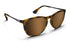 Blenders North Park Boardway Nika TORT/AMBER