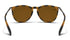 Blenders North Park Boardway Nika TORT/AMBER
