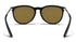 Blenders North Park X2 Rose Theater II BLACK/PINK