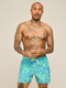 Chubbies M 5.5 Classic Lined Swim Trunk THE FROND FAREWELLS