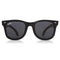 WeeFarers Polarized Sunglasses BLACK