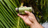 Nocs Provisions WP Field Tube 10x32 PONDEROSA GREEN