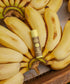 Sun Bum Sunscreen SPF 30 Lip Balm BANANA