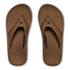 Cobian M Venture TAN