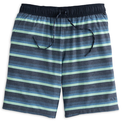 Fish Hippie M Borderline Stripe Volley Short NAVY