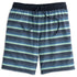 Fish Hippie M Borderline Stripe Volley Short NAVY