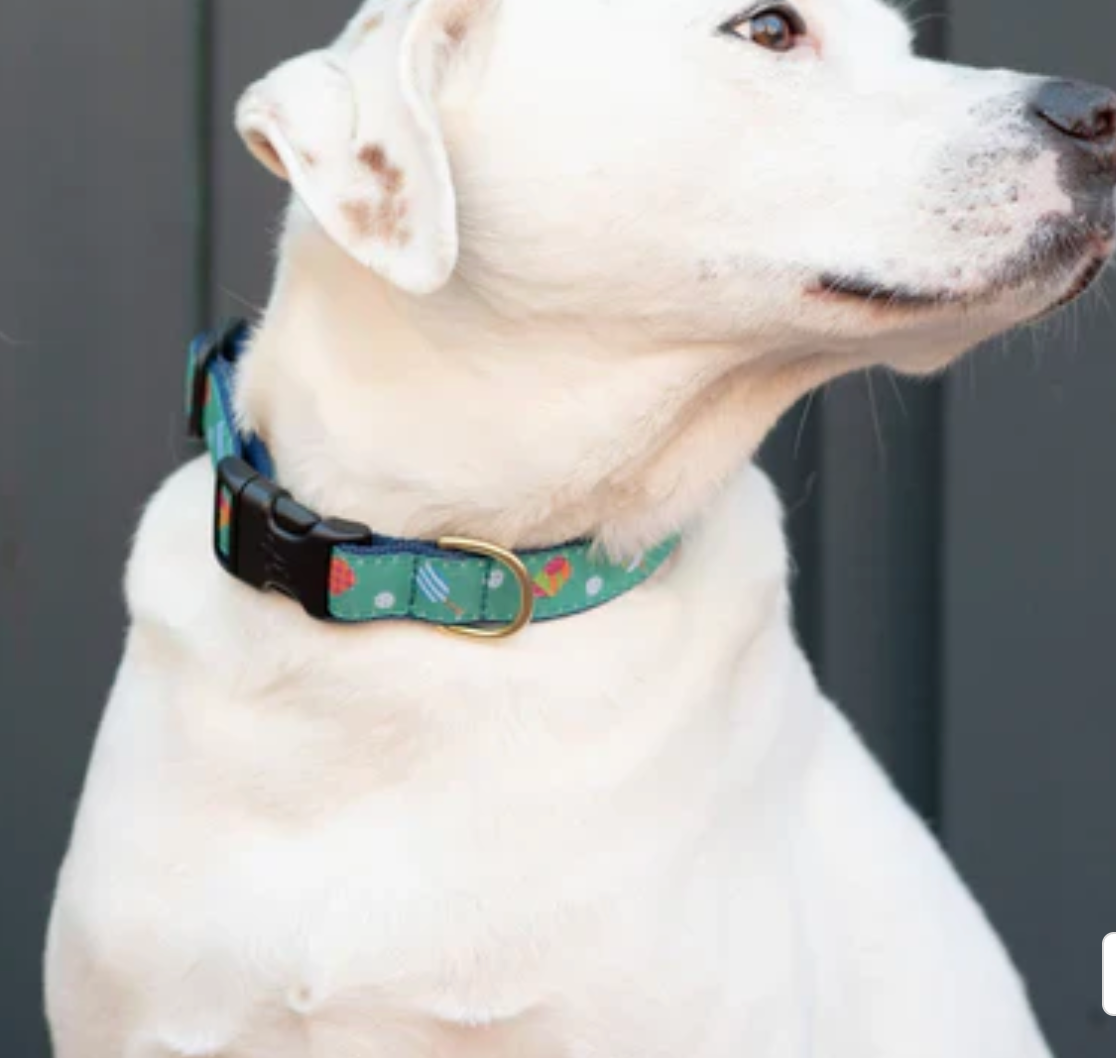 Preston Dog Collar Pickleball TURQUOISE
