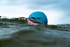 Waboba Sharky Shark Ball