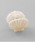 Golden Stella Shell Hair Clip WHITE