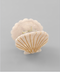 Golden Stella Shell Hair Clip PINK