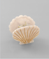 Golden Stella Shell Hair Clip PINK