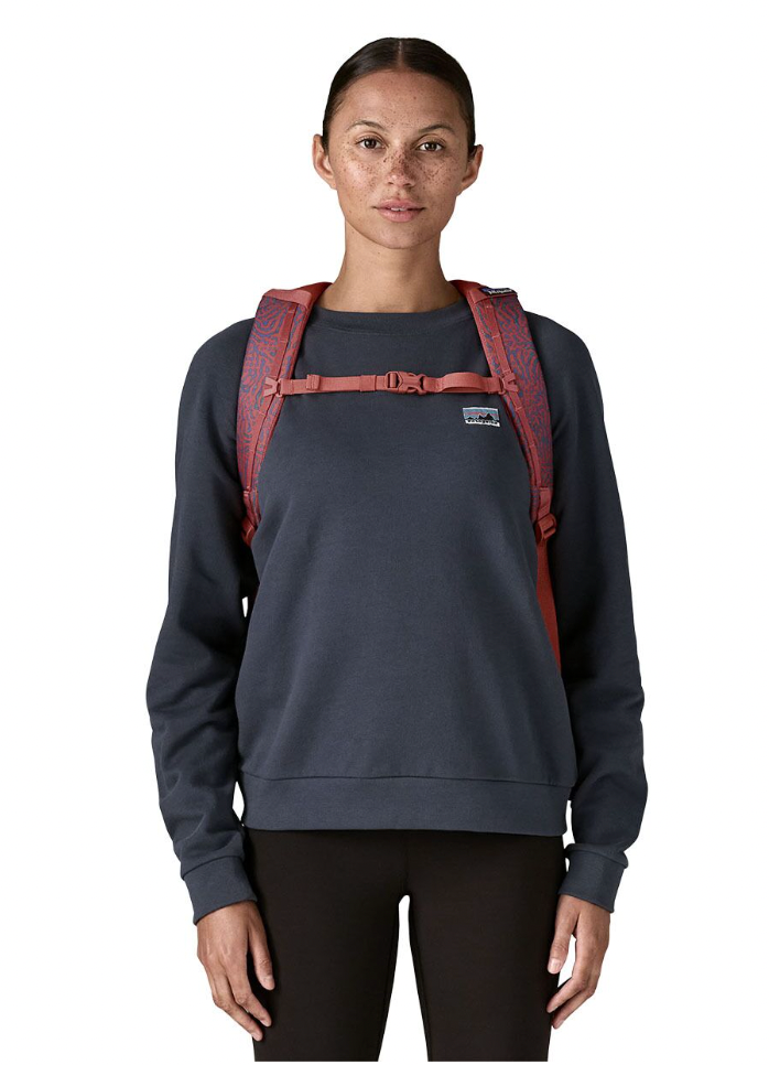 Patagonia Atom Day Pack 24L SEA RUN POTTERS RED