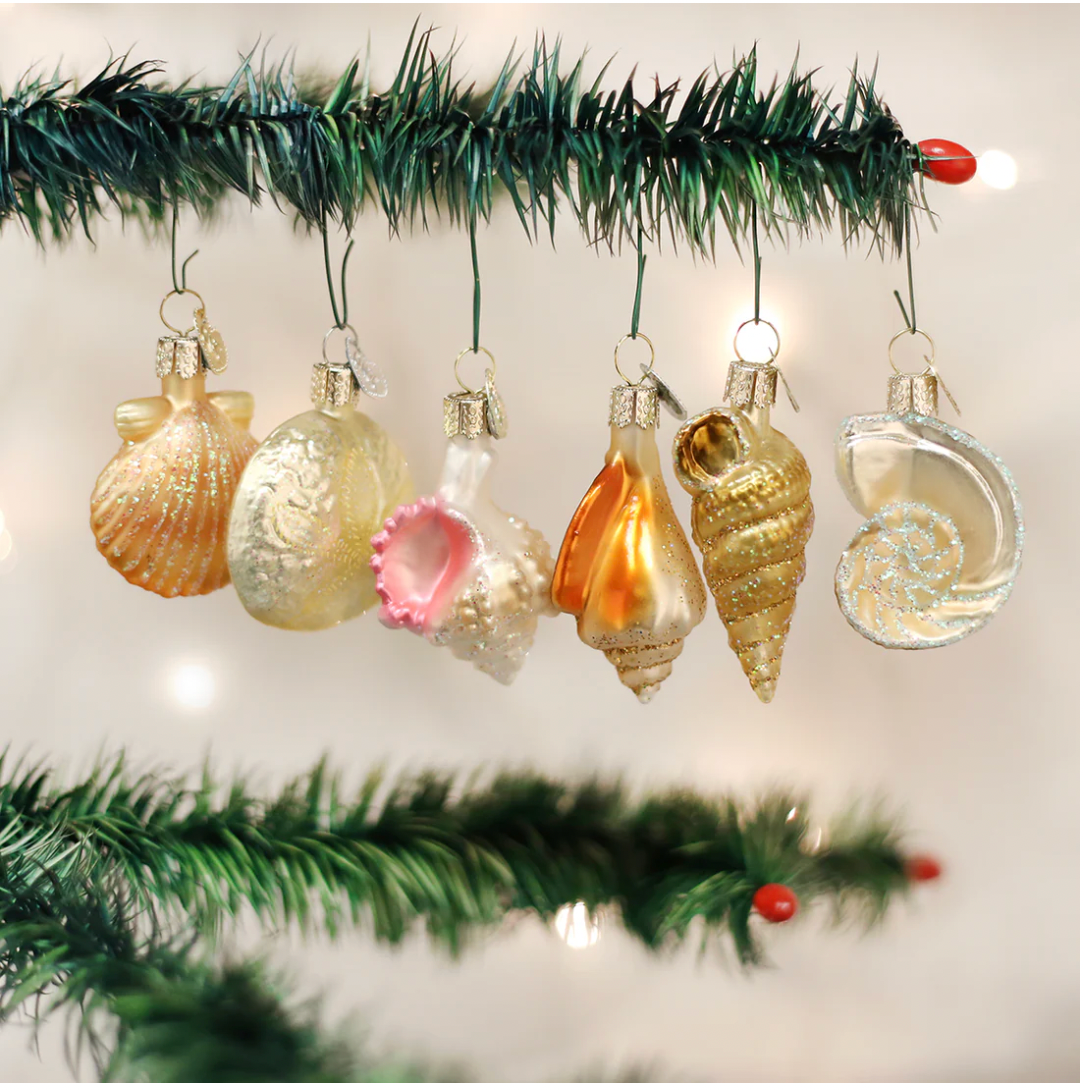 Old World Christmas SMALL SHELLS