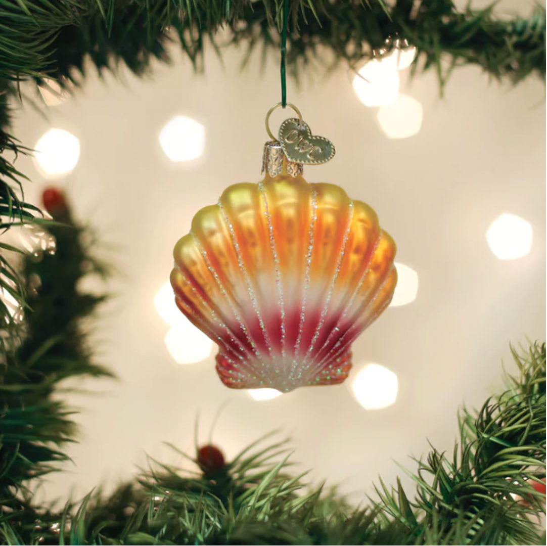 Old World Christmas Ornament SUNRISE SHELL