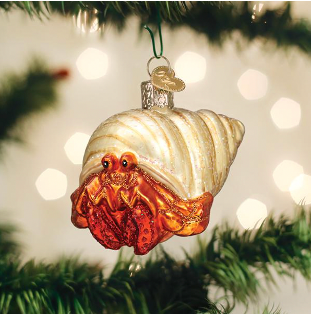 Old World Christmas Ornament HERMIT CRAB