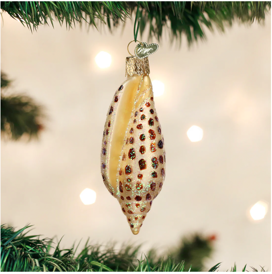 Old World Christmas Ornament JUNONIA SHELL