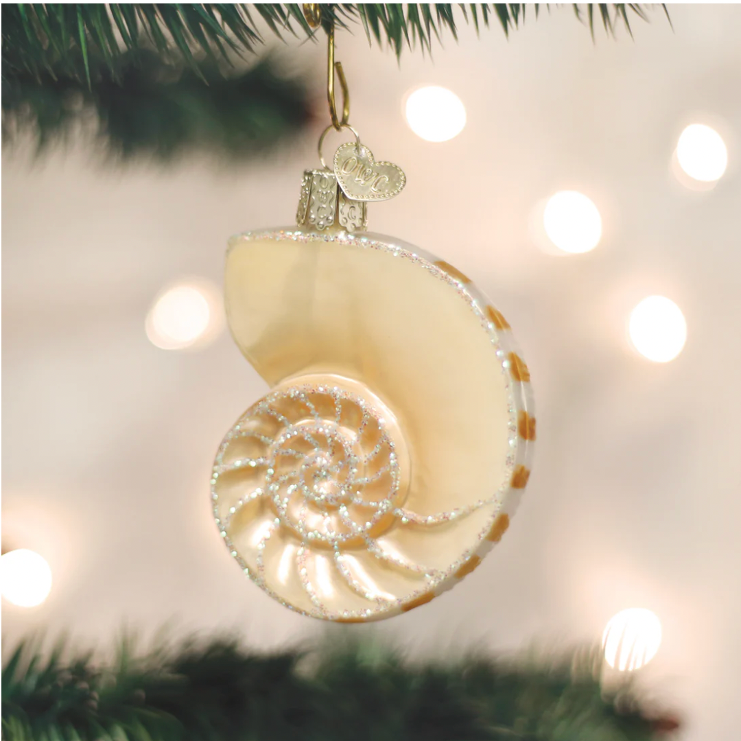 Old World Christmas Ornament NAUTILUS SHELL