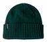 Patagonia Brodeo Beanie CASCADE GREEN