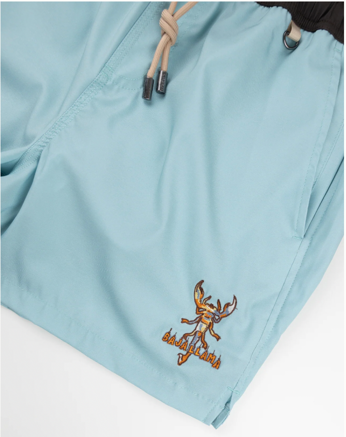 Baja Llama M Swimsuit DESERT STINGER - AQUA STRIPES