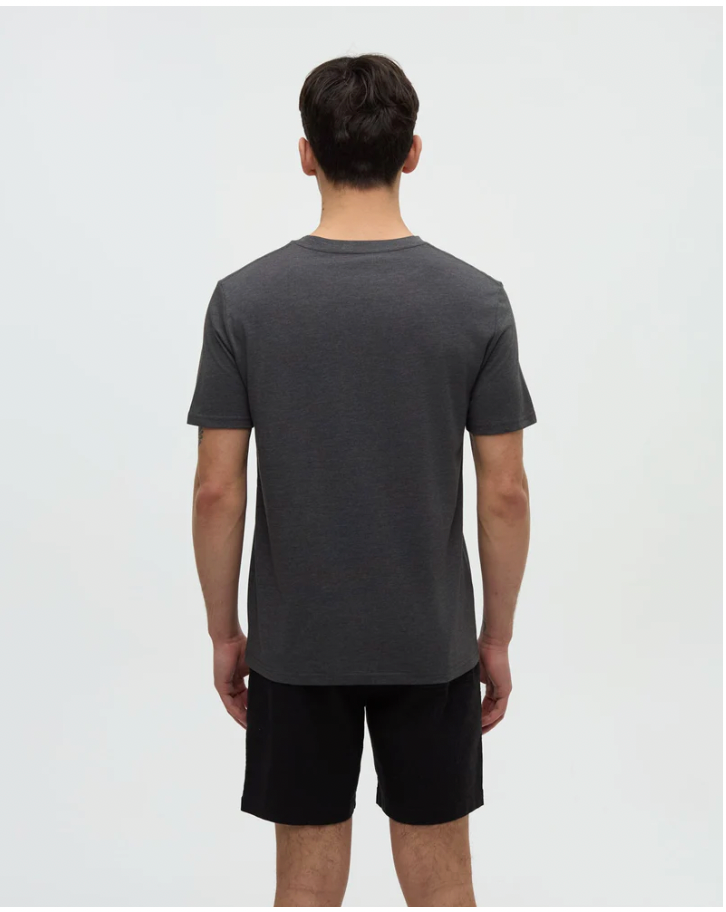 tentree M SS Sasquatch Floatie Tee GRAPHITE HEATHER