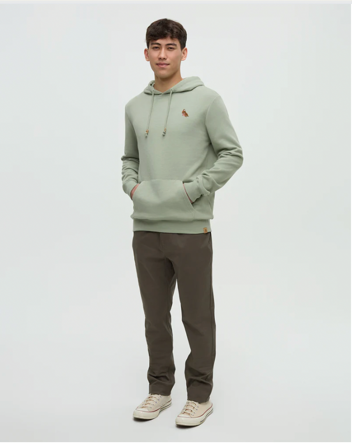 tentree M Sasquatch Hoodie LIGHT MOSS HEATHER
