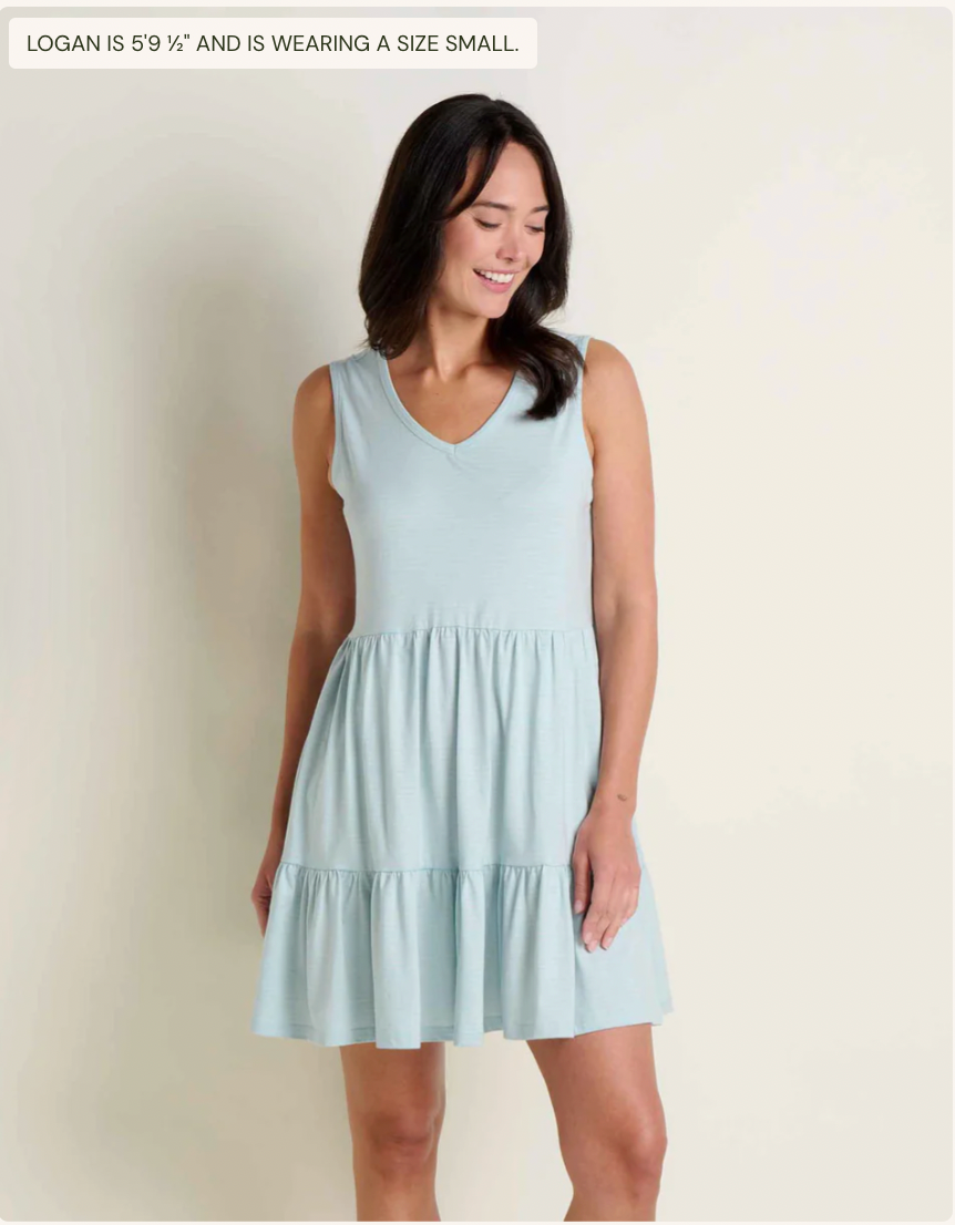 Toad & Co W Marley Tiered Tank Dress SKYWAY PATTERN