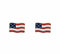 Golden Stella USA Flag Earrings RED/WHITE/BLUE