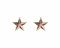 Golden Stella USA Star Earrings RED/WHITE/BLUE