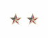 Golden Stella USA Star Earrings RED/WHITE/BLUE