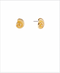 Golden Stella Textured Ammonite Studs GOLD