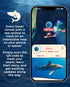 Sand Cloud Beach Towel Voyage Shark - FAHLO LG