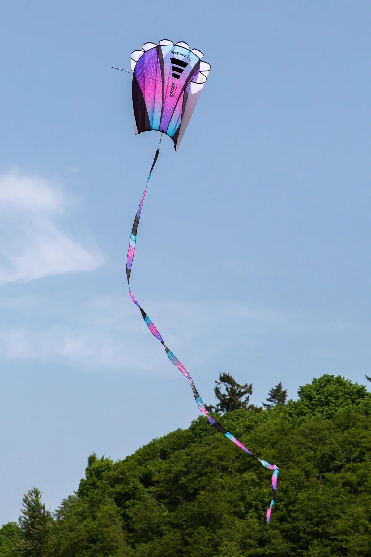 Prism Sinewave Kite ULTRAVIOLET